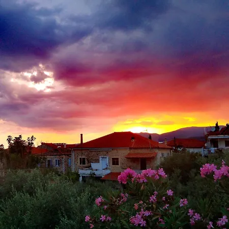 302 Sea And Sun Apartment's Кардамили