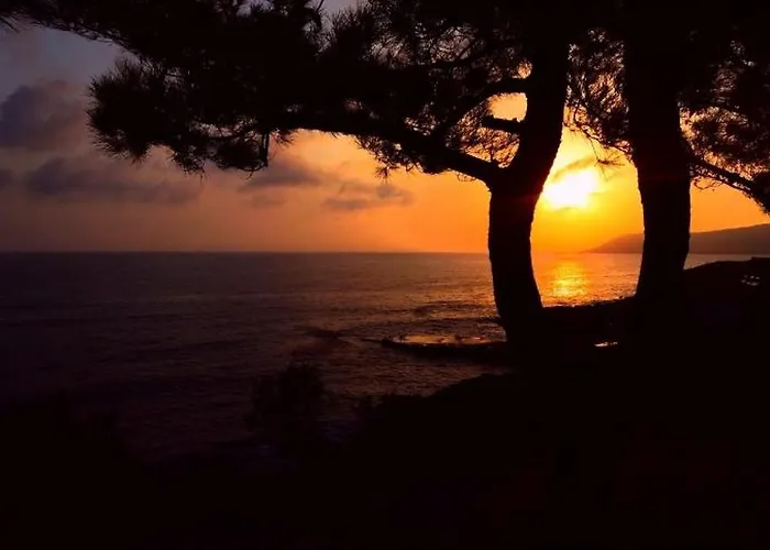 302 Sea And Sun Apartment's