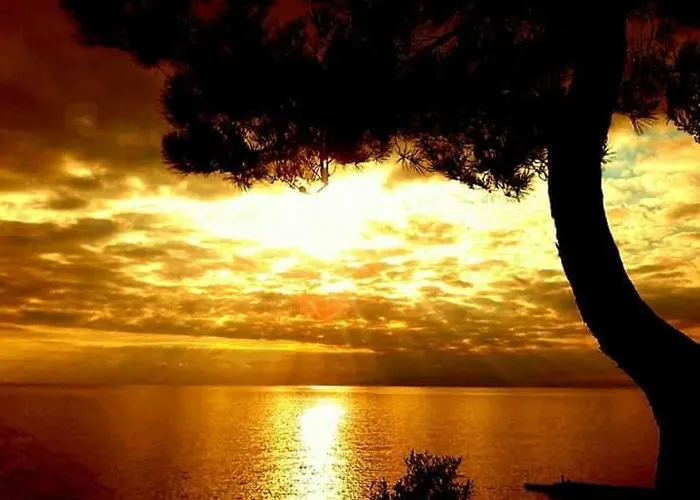 302 Sea And Sun Apartment's * קרדמילי