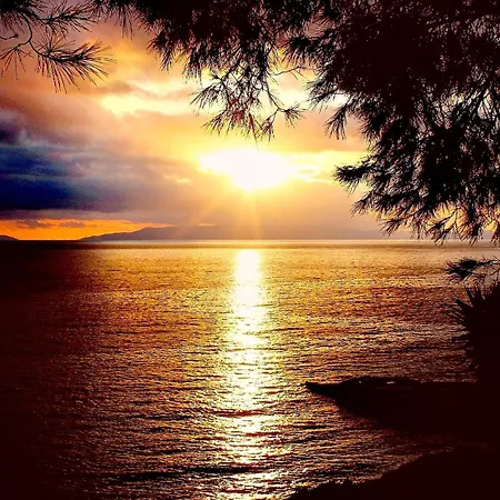 302 Sea And Sun Apartment's 民宿 *