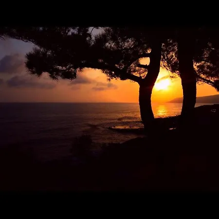 302 Sea And Sun Apartment's