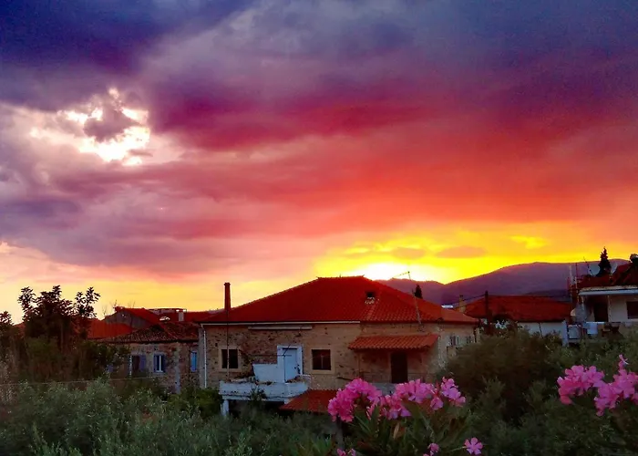 302 Sea And Sun Apartment's Kardhamili